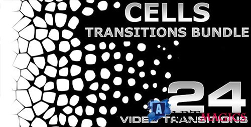 Videohive - Cells Transitions Bundle 4K - 19852549