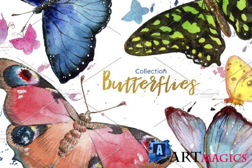 Miracle of nature butterflies - 4246030