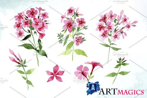 Pink phlox flower watercolor png - 4244410