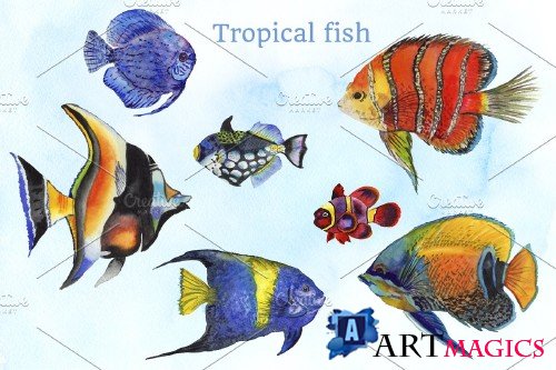 Tropical fish watercolor png - 4229986