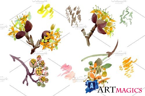 Flower illustration Dogwood - 4267090