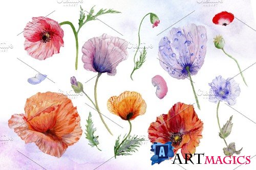 Poppy red flower watercolor png - 4267189