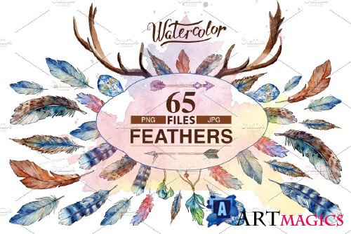 Feather PNG watercolor bird set - 4230119