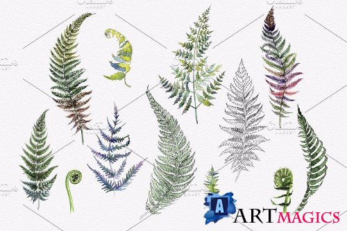 Green fern leaves watercolor png - 4254347