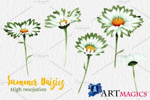Watercolor daisy white flower png - 4214174