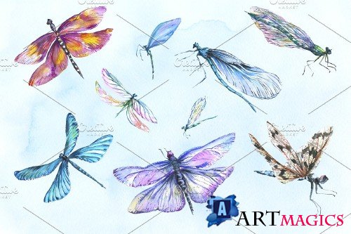 Dragonfly Illustration Watercolor - 4271622