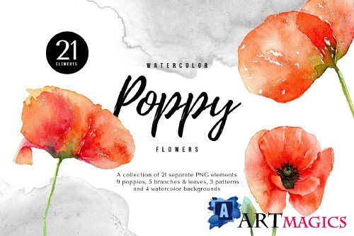 Watercolor Red Poppy Flowers - 4172505