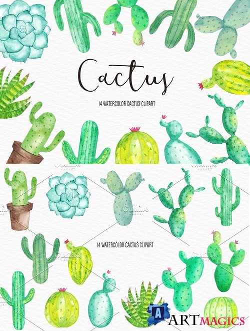 Watercolor Cactus Illustration - 4265534