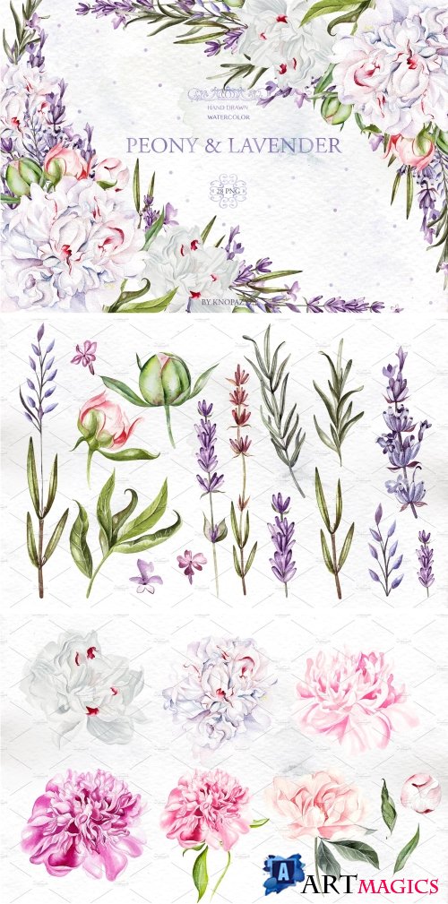 Watercolor Peony & Lavender - 4238314