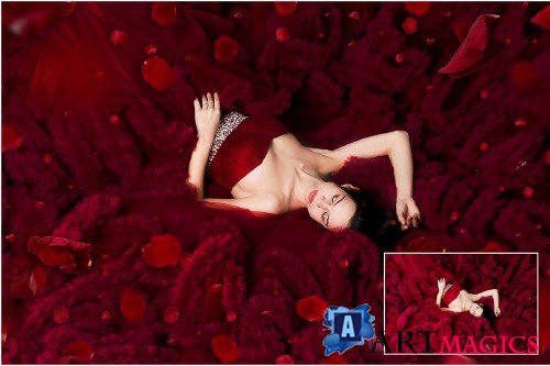 5K Red Rose Petals Overlays - 1497326