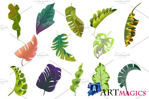 Flowers Tropical Illustration Pack - 4290669