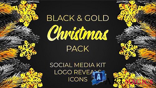 Black and Gold Christmas Pack 322997 - After Effects Templates