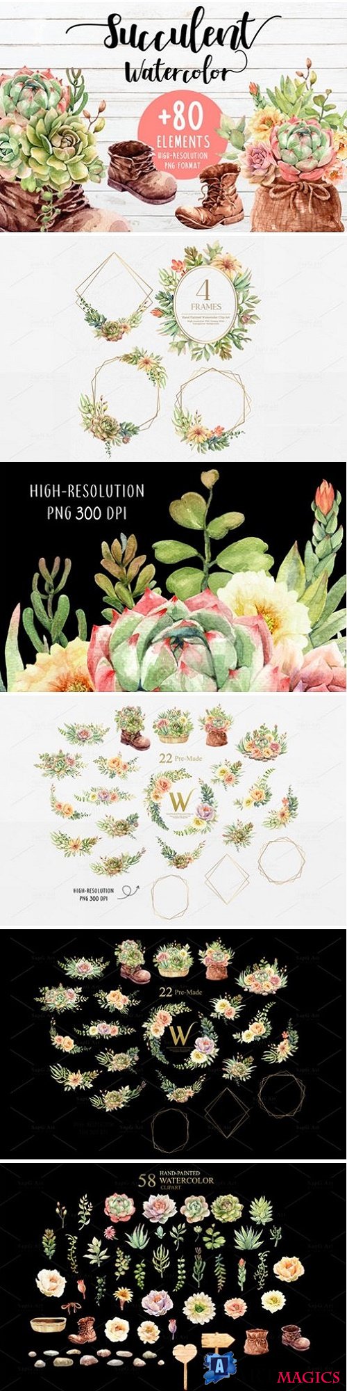 Succulents and Boots Watercolor set - 3825873