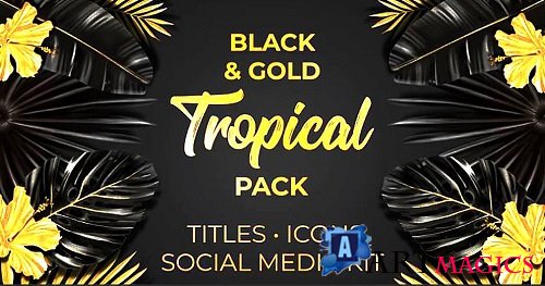 Black and Gold Tropical Pack 314429 - After Effects Templates