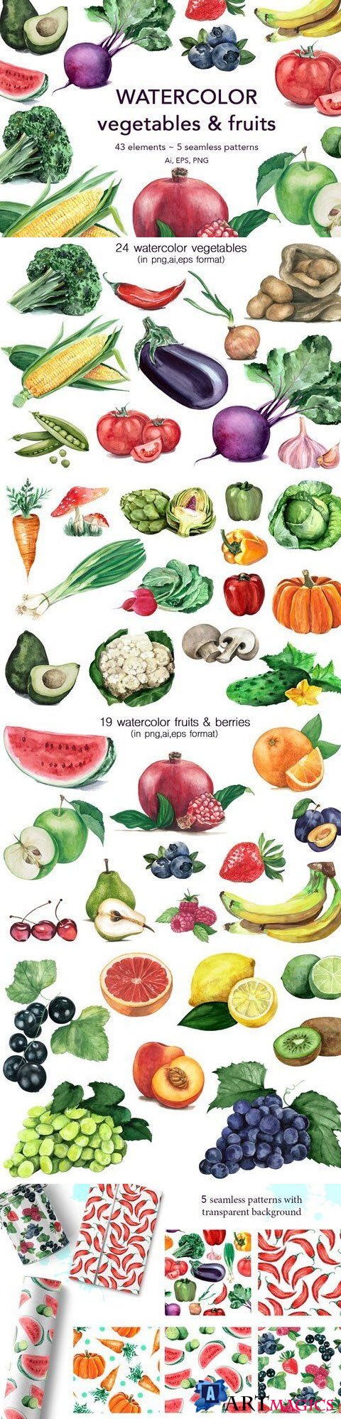 Watercolor vegetables & fruits - 1934987