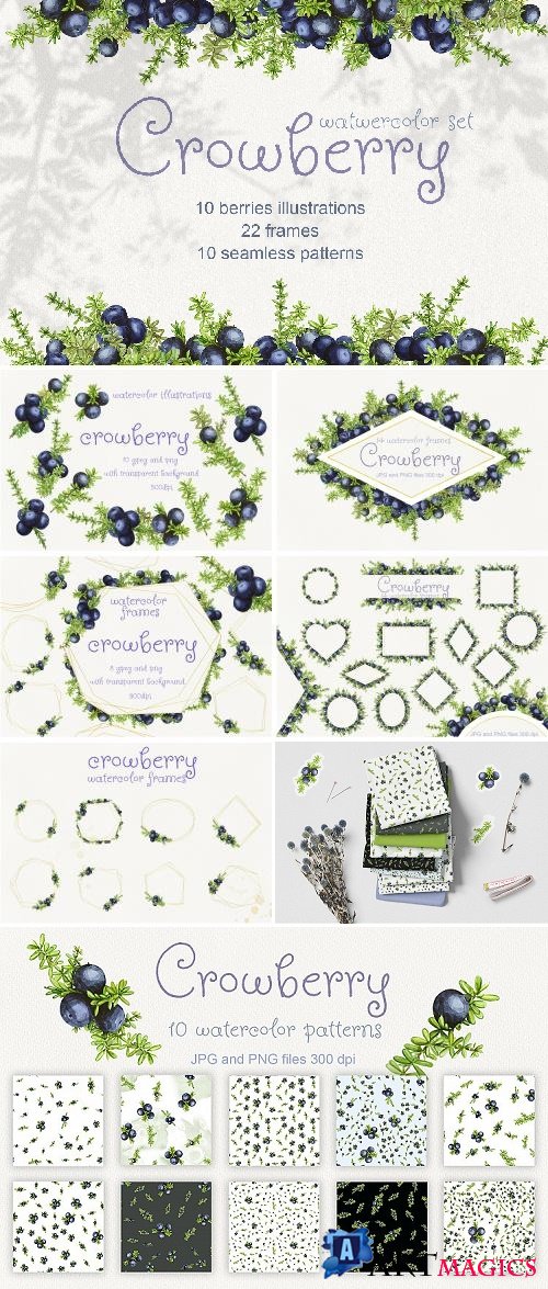 Crowberry. Watercolor set illustrations - 389734