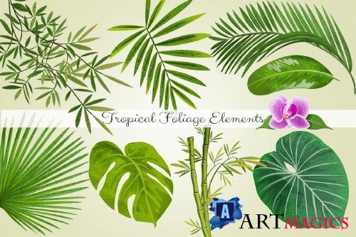 Tropical Foliage PNG Graphic Elements and Digital Paper - 167306