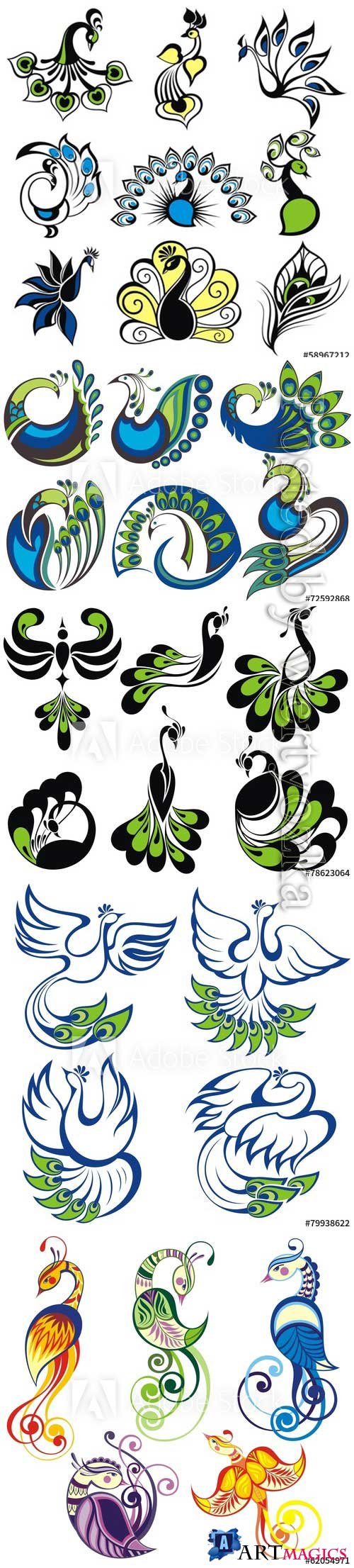 Birds icons, peacock vector birds