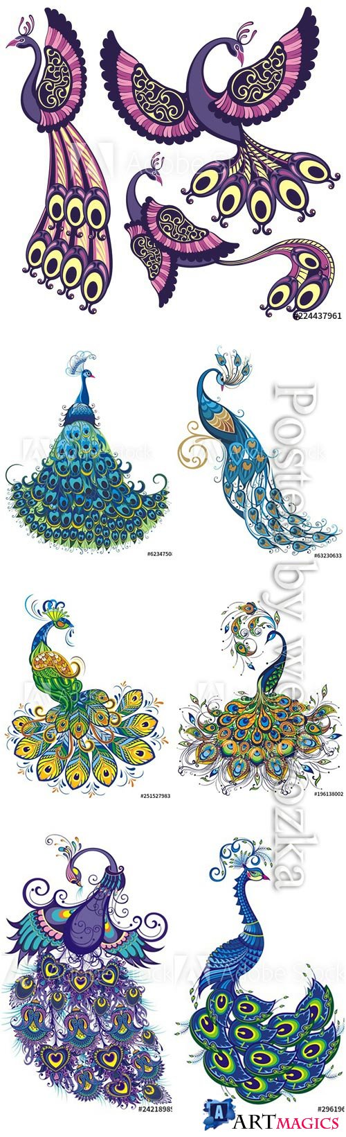 Peacock fantasy vector birds isolated on a white background