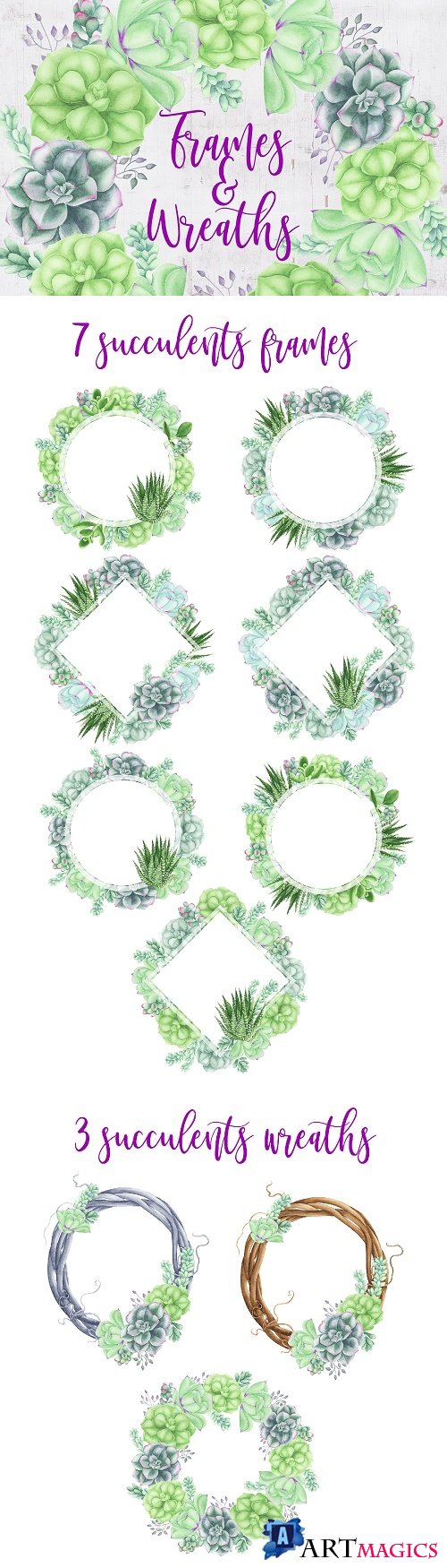 Succulents Frames and Wreath - 3717889