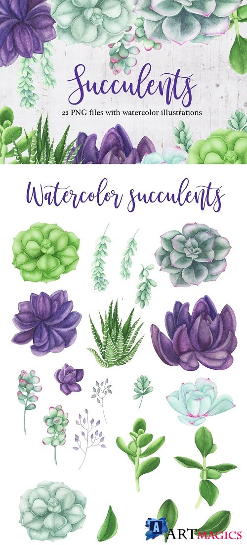 Watercolor Succulents Clipart - 3702033