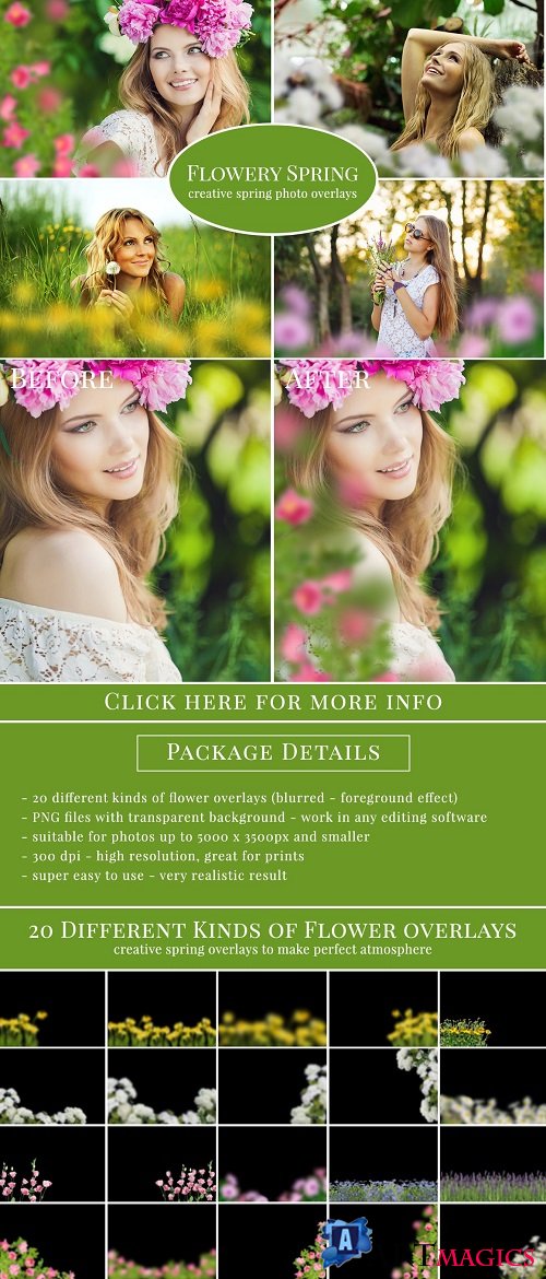 "Flowery Spring" photo overlays set - 625848