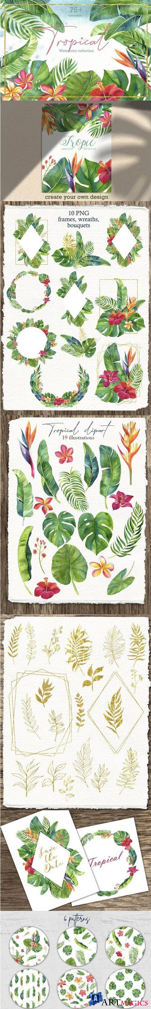 Tropic leaves & flowers Watercolor set - 3886181