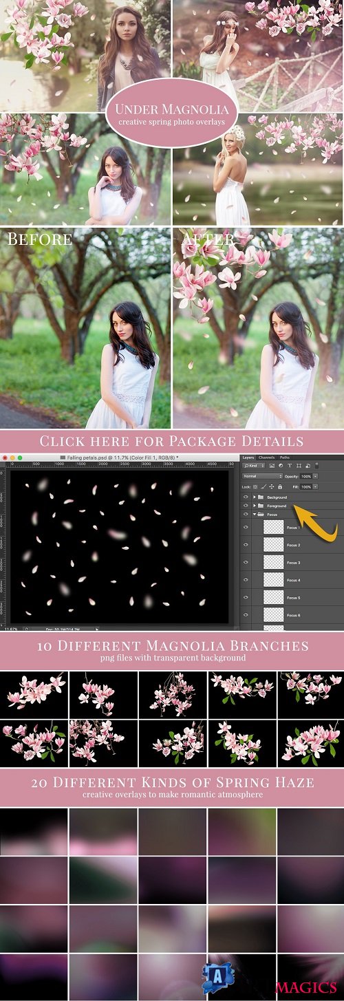 "Under Magnolia" photo overlays set - 554089