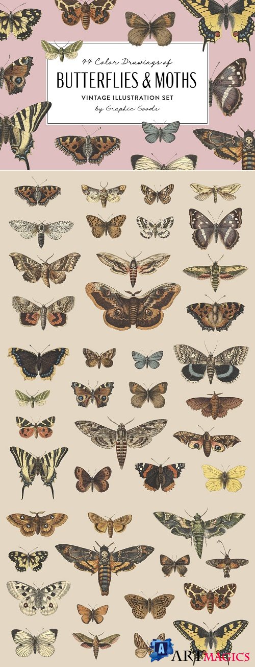 Butterflies & Moths Vintage Graphics - 4032650