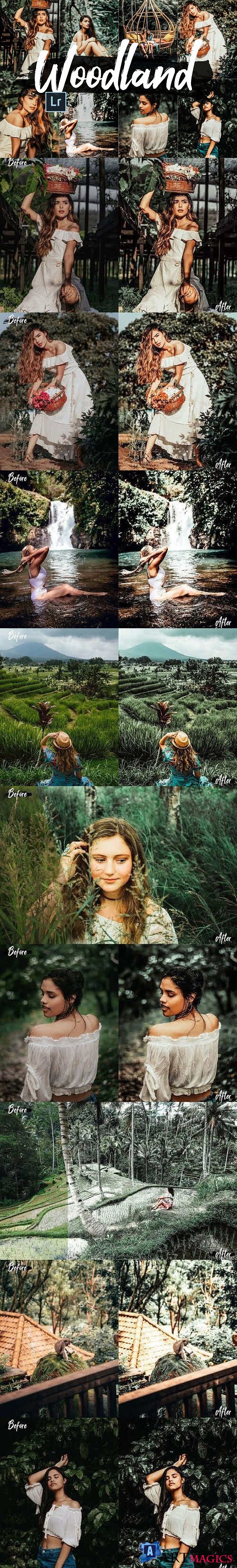 05 Woodland Lightroom Presets and ACR preset, forest moody - 423652 - 2542463