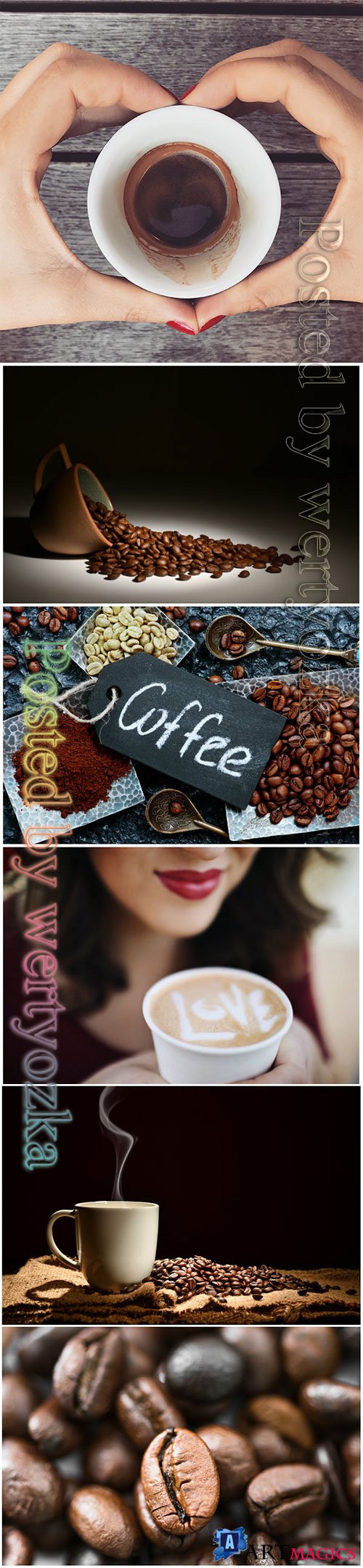 Coffee beans beautiful stock photo