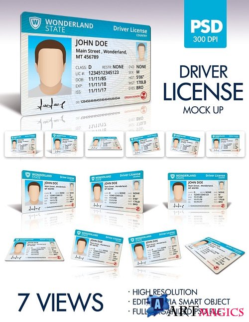 Driver License MockUp - 1752478