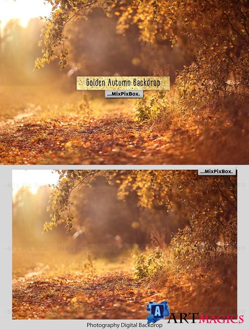 Golden Autumn Backdrop - 4178310