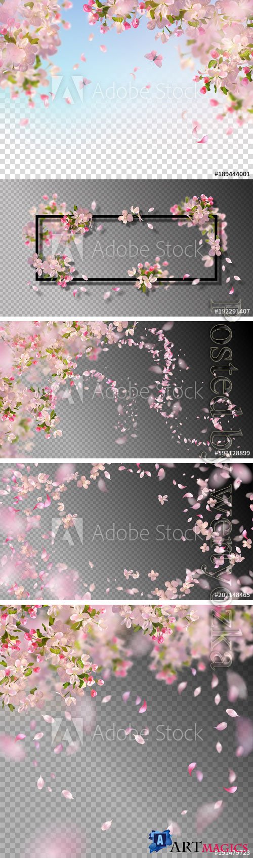 Spring cherry vector blossom