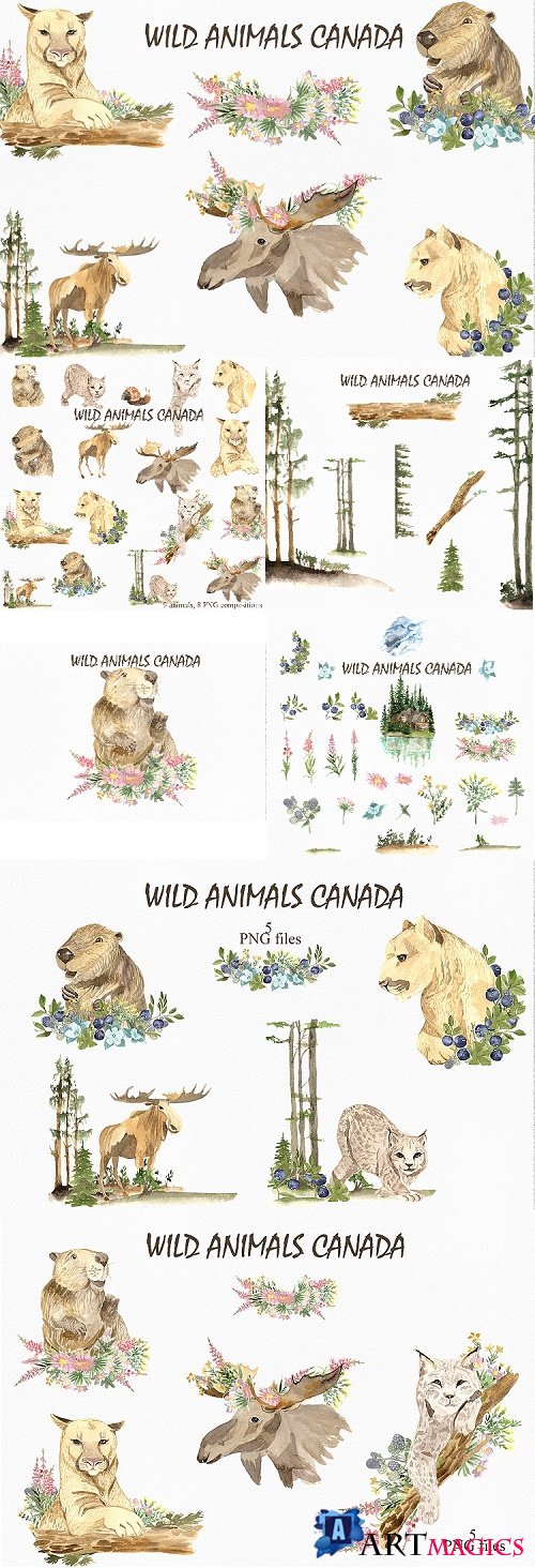 Wild animals of Canada  - 475654