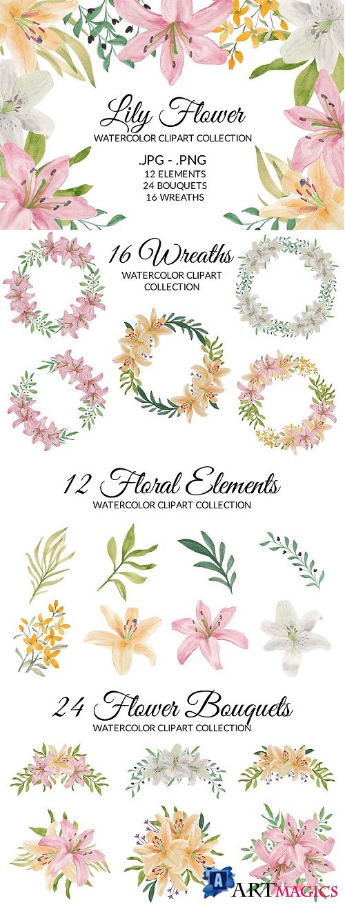 Tropical Lily Flower Watercolor Clipart Collection - 471006