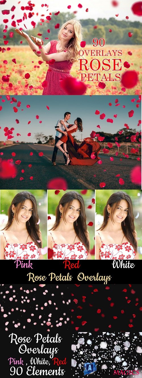 Pink, White, Red Rose Petals Overlay - 4136038