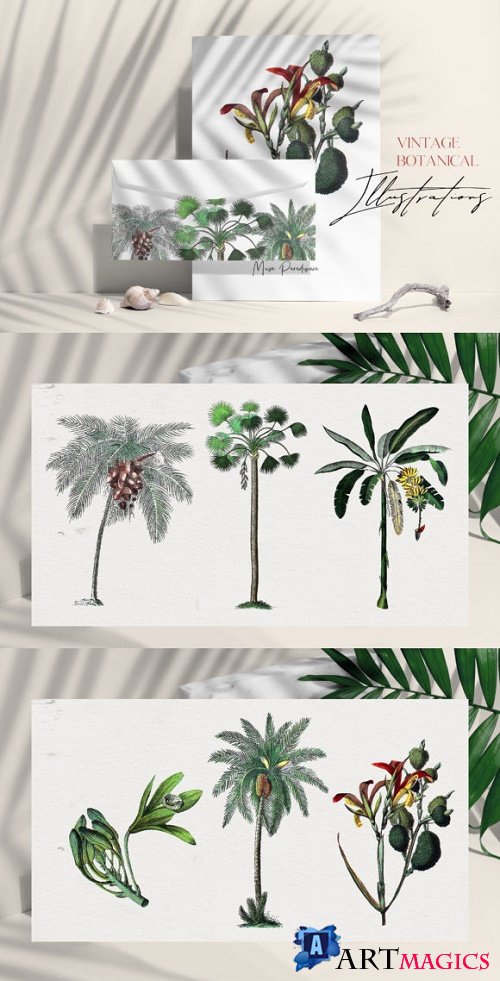 Vintage Botanical Set - Palms