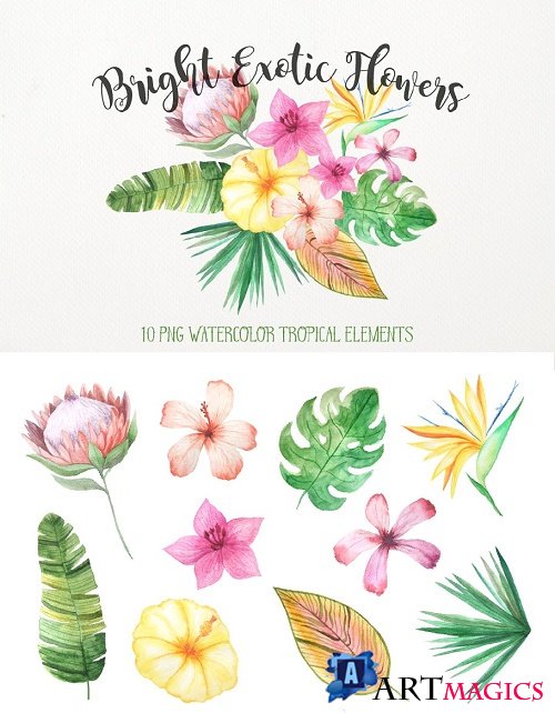 Watercolor Exotic Flowers Mini Set - 1605755