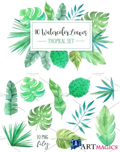 Watercolor Tropic Leaves Set - 1540284
