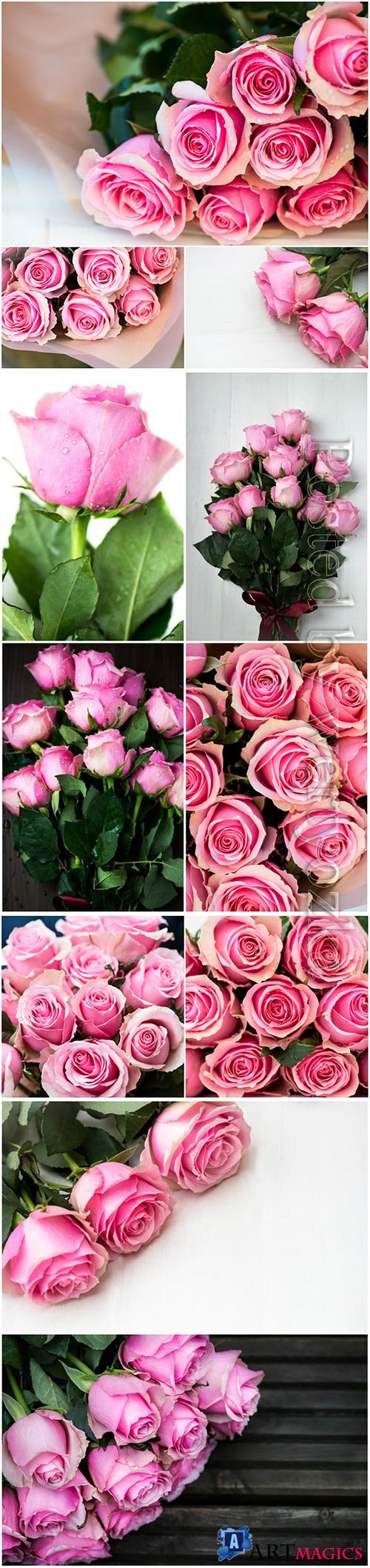 Bouquets of pink roses beautiful stock photo