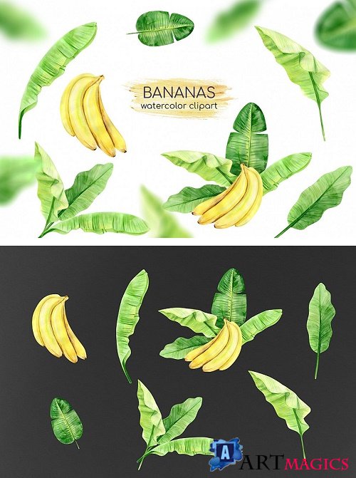 Watercolor Banana Leaves Clipart. Banana Plant. Exotic Green  - 512864