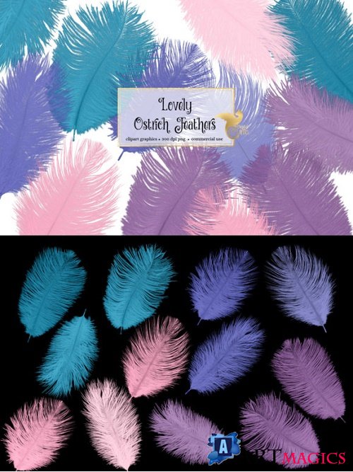 Lovely Ostrich Feathers Clipart