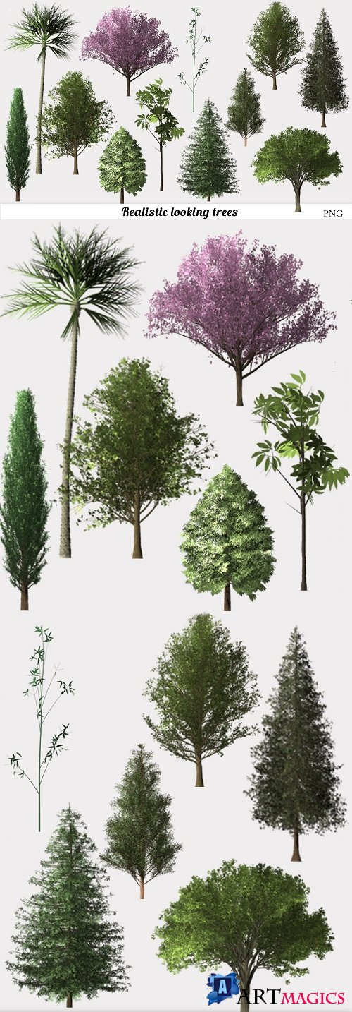 Tree Clip Art, Realistic Tree Assortment
