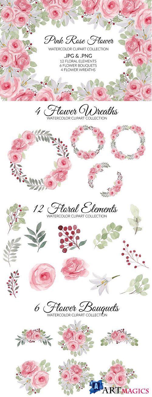Pink Rose Flower Watercolor Clipart Collection - 515103