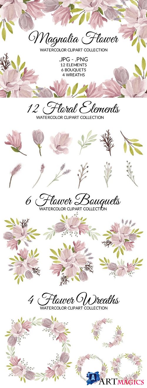 Magnolia Flower Watercolor Clipart Collection  - 514422