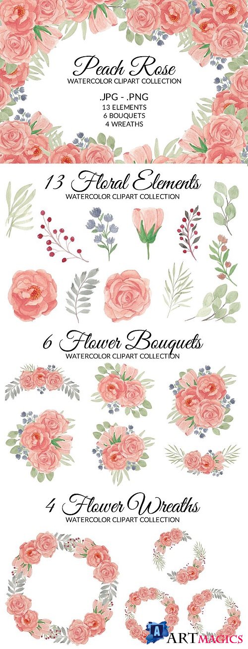 Peach Rose Flower Watercolor Clipart Collection  - 514459