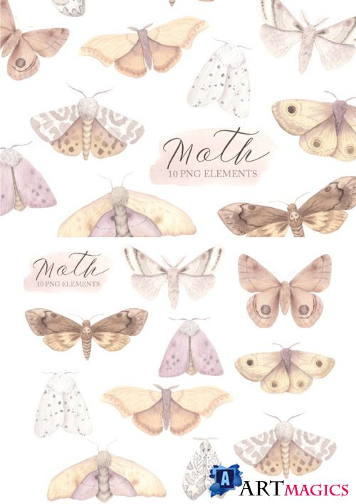 Watercolor Moth Clipart