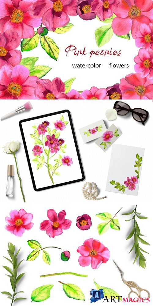 Pink peonies watercolor flowers - 515466