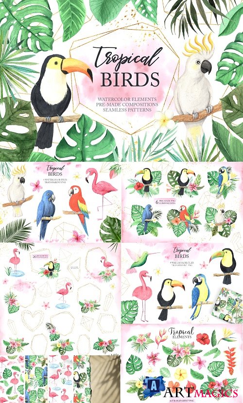 Watercolor Tropical Birds Set - 3910851